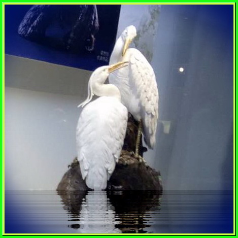 �x�Ї��մ�ˇ�g��������Ʒ(li��n)չ�_Ļ